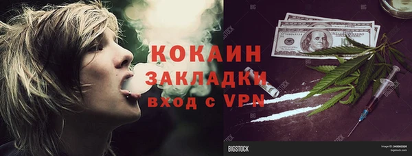 амф Верхний Тагил