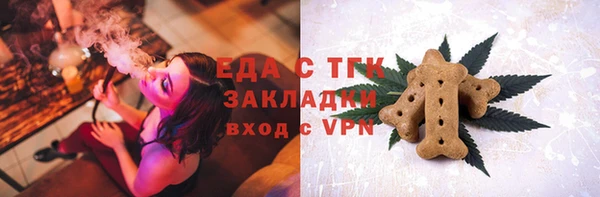 амф Верхний Тагил