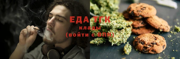 амф Верхний Тагил