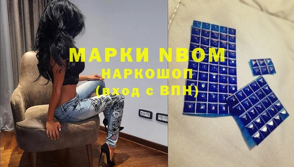 амф Верхний Тагил
