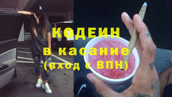 амф Верхний Тагил