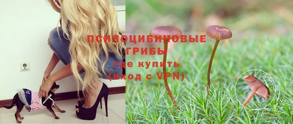 амф Верхний Тагил