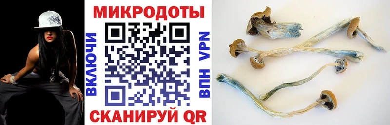 Галлюциногенные грибы MAGIC MUSHROOMS  Каменск-Шахтинский 